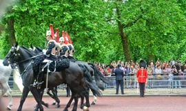 Tản mạn về ngựa