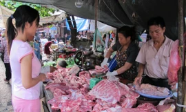 Giá thịt lợn có thể tăng cao trong thời gian tới, do thiếu hụt nguồn cung trong nước vì bệnh dịch tả lợn châu Phi Ảnh: Bình Phương 