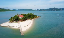 Hòn Soi Dâu, ông Phạm Thế Duy đã xây dựng, biệt thự trồng cây xanh, làm khu nghỉ mát