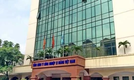 Định giá Tổng Công ty Xi măng 'thiếu' hàng nghìn tỷ đồng