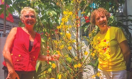 Janet và Jane tại nhà tác giả bài viếtẢnh: Quế Mai