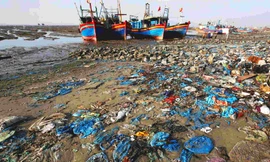 Ông Vũ Hồ trả lời báo chí bên lề hội thảo