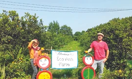 Du khách nước ngoài đến vườn cam tổ chức sự kiện 