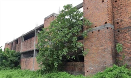 Dự án Trường Cao đẳng văn hóa- Nghệ thuật Vĩnh Phúc hoang hóa thành trại gà