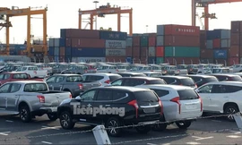Ô tô nhập khẩu về Việt Nam qua cảng Tân Vũ, Hải Phòng Ảnh: Tuấn Nguyễn 
