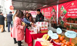 Hàng hóa phục vụ nhu cầu Tết tăng từng ngày Ảnh: PV