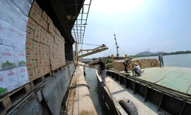 Hơn 100 tấn hàng 'đổ bộ' Côn Đảo phục vụ Tiền Phong Marathon 2022