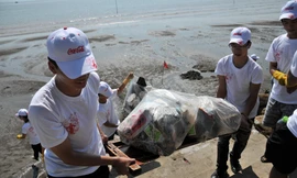 Cùng Coca-Cola chung tay làm sạch bãi biển