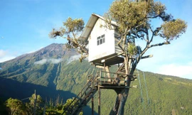 Đánh đu tại tận cùng của thế giới