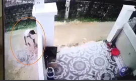 Hiện trường vụ tai nạn. Ảnh cắt từ clip