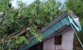 20 phút dông lốc cuốn bay nhiều nhà cửa, hoa màu ở Nghệ An