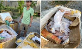 Số động vật đã qua sơ chế, bốc mùi hôi thối bị cơ quan công an phát hiện, bắt giữ