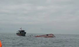 Truy tìm tàu hàng đâm chìm tàu cá của ngư dân rồi bỏ chạy