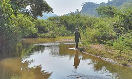 Vị trí xảy ra vụ đuối nước thương tâm