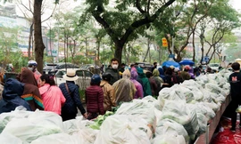 Người Hà Nội đội mưa 'giải cứu' hàng chục tấn nông sản