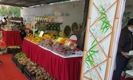 Dây tây Sơn La đang được bán tại nhiều siêu thị Hà Nội. Ảnh: Mai Ngọc