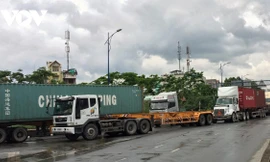 Vận chuyển nông sản phía Nam gặp khó vì thiếu tài xế container.