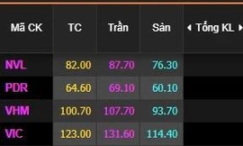 Nhiều mã tăng trần ngay đầu phiên sáng nay 5/4