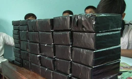 Nữ trùm ma túy và phi vụ 62 bánh heroin