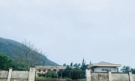 Trung tâm dạy nghề khuyết tật tiền tỷ bỏ hoang