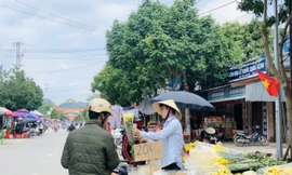 Chợ quê chiều cuối năm vẫn tấp nập, cây cảnh và hoa lại ‘ế ẩm’