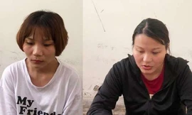 Triệt phá đường dây đưa phụ nữ sang Trung Quốc sinh con bán giá 300 triệu đồng