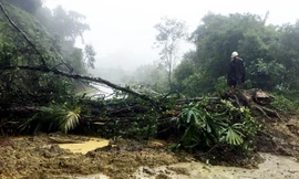 Núi cao 15m sạt lở, đất đá chắn ngang trên QL8A đường lên Cửa khẩu Cầu Treo