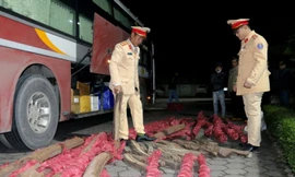 Bắt xe khách chở gần 1 tấn gỗ quý vi vu từ Gia Lai ra Hà Nội