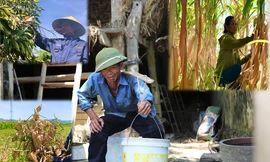 Dân vùng 'chảo lửa' méo mặt vì hàng ngàn ha hoa màu chết khô