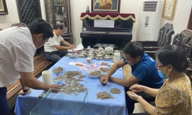 Đào móng nhà phát hiện 'kho' xu cổ: Tiền có từ đời vua nào?