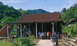 Người đàn ông tử vong khi trèo cây lấy mật ong