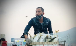 Vươn khơi đầu năm, ngư dân phấn khởi trúng đậm tôm, cá