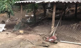 Hiện trường xảy ra vụ việc