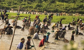 Sau tiếng hô lớn, hàng trăm người dân nhào xuống Đầm Vực bắt cá