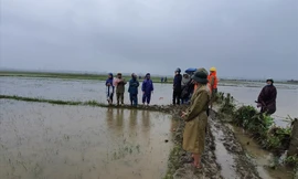 Tìm thấy thi thể bé gái 3 tuổi bị nước lũ cuốn trôi