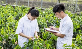 Học viện Nông nghiệp Việt Nam tuyển gần 6.000 chỉ tiêu