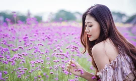 "Check-in" cánh đồng hoa "hot" nhất Thủ đô