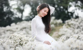 Cô nàng 9X Hà Nội tinh khôi bên cúc hoạ mi