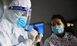 Hàng ngàn sinh viên y khoa chi viện Hải Dương, Quảng Ninh dập dịch COVID-19