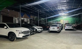 Dịch vụ thuê xe tự lái hút khách dịp Tết