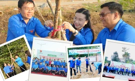 TP.HCM: Phát động Tết trồng cây, kỷ niệm 95 năm thành lập Đảng Cộng sản Việt Nam