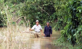  Đường dân sinh bị ngập sâu