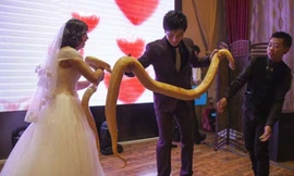 Cô dâu chú rể trao nhau trăn vàng thay cho quà cưới. Ảnh: Chinanews.