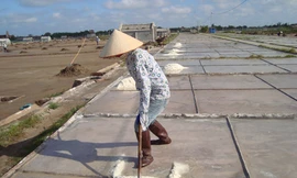 Muối ăn tại vùng cá chết đạt yêu cầu làm thực phẩm