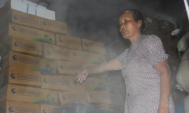 Chị Nguyễn Thị Nguyệt, chủ cơ sở đông lạnh Nguyệt Quyền buồn bã bên hàng tỷ đồng tiền cá nhập về từ Hàn Quốc từ tháng 3 vẫn còn nguyên vẹn (Ảnh 5).