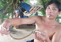 Đi săn rắn độc