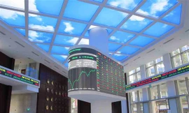 Sàn chứng khoán TPHCM sẽ được nâng cấp hệ thống thay vì các giải pháp hạn chế giao dịch. Ảnh minh hoạ.