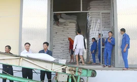 Gạo nhập kho dự trữ nhà nước.