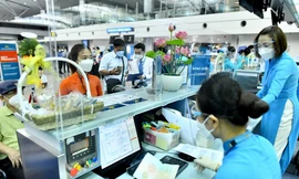 Dù nhu cầu đi lại Tết chưa cao, nhưng giá vé máy bay dịp này không rẻ do số lượng chuyến bay ít. Ảnh minh hoạ.