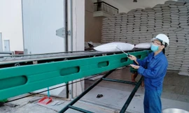 Hiện TPHCM đã được Cục Dự trữ nhà nước cấp 1/4 số gạo theo đề nghị để hỗ trợ người lao động và hộ nghèo gặp khó khăn do dịch COVID-19. Ảnh minh họa.